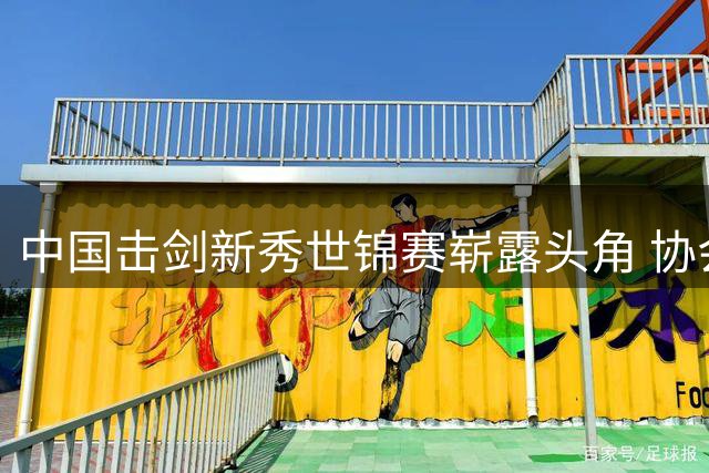 中国击剑新秀世锦赛崭露头角 协会主席详解奥运备战路线图